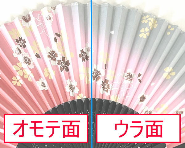 両面差し込みイメージ