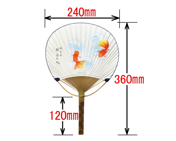 唐月竹うちわ サイズ