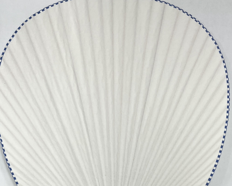 仙貨紙イメージ